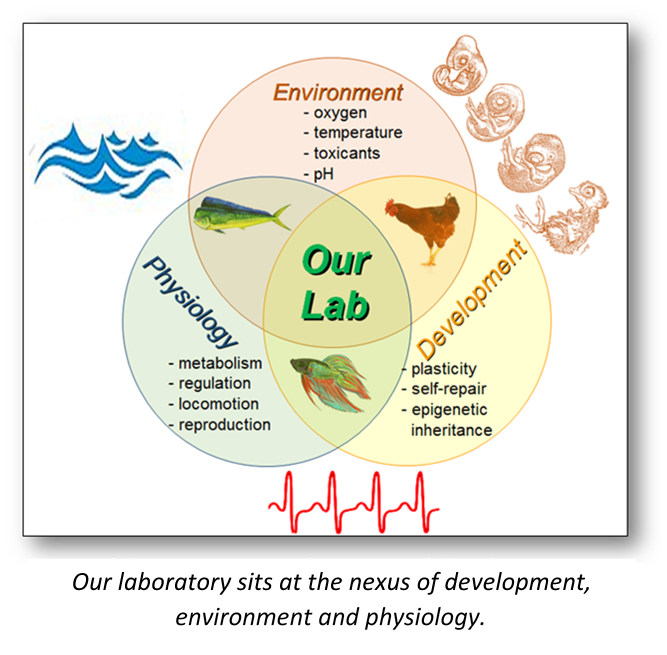 https://biology.unt.edu/sites/biology.unt.edu/files/users/mb0332/resear3.png